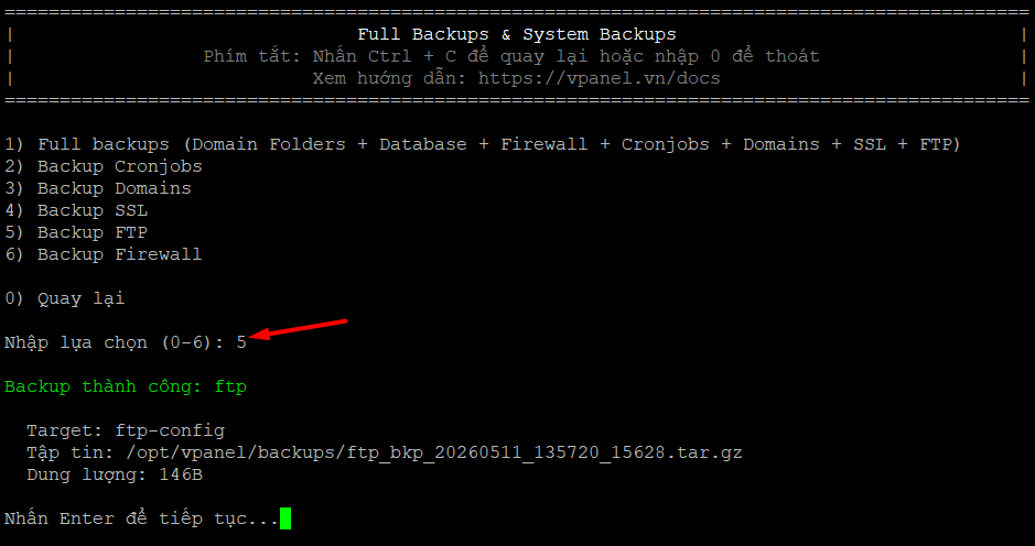 backup-ftp-vi