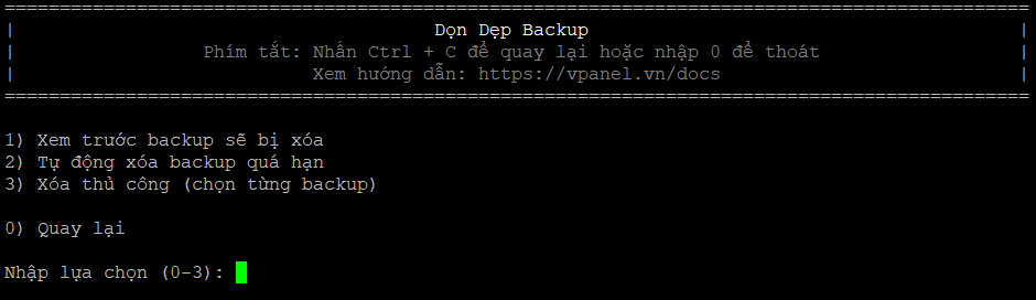 don-dep-backup-vi