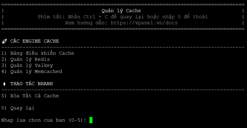 giao-dien-quan-ly-cache-vi