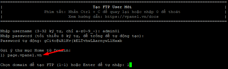 chon-domain-ftp-vi