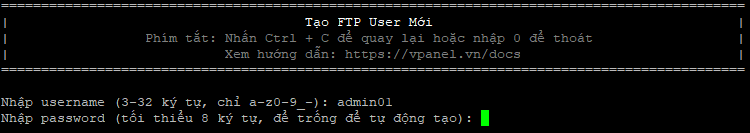 pass-ftp-vi