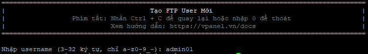 tao-ftp-1-vi