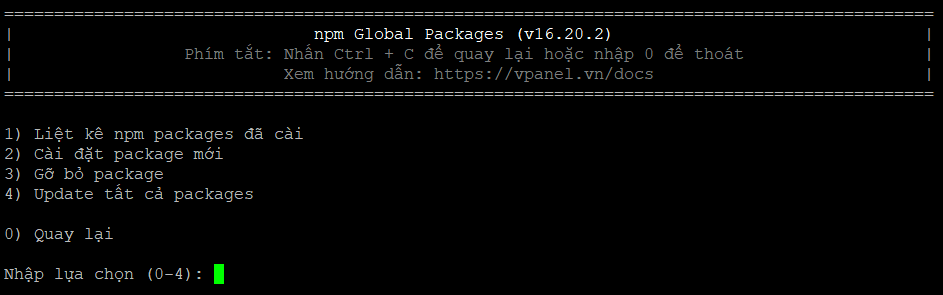 quan-ly-npm-global-packages-vi