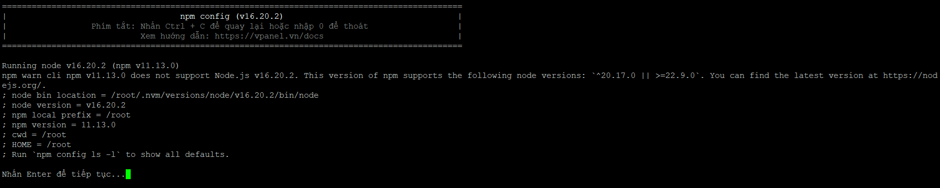 xem-npm-config-vi