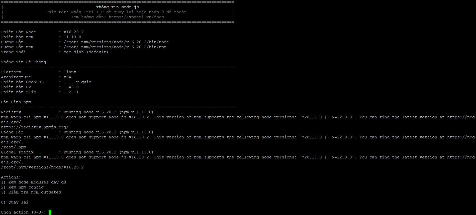 xem-thong-tin-nodejs-vi