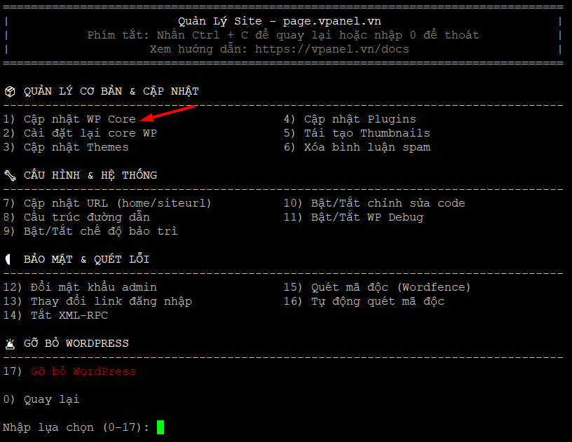 cap-nhat-core-vi