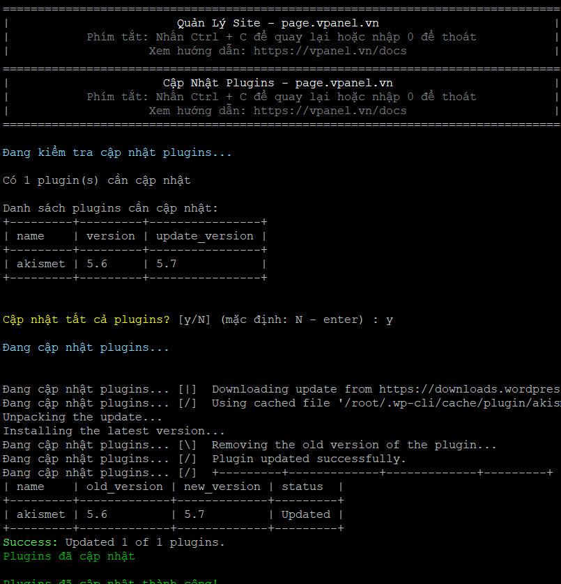 cap-nhat-plugin-vi