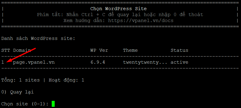 chon-domain-1-vi